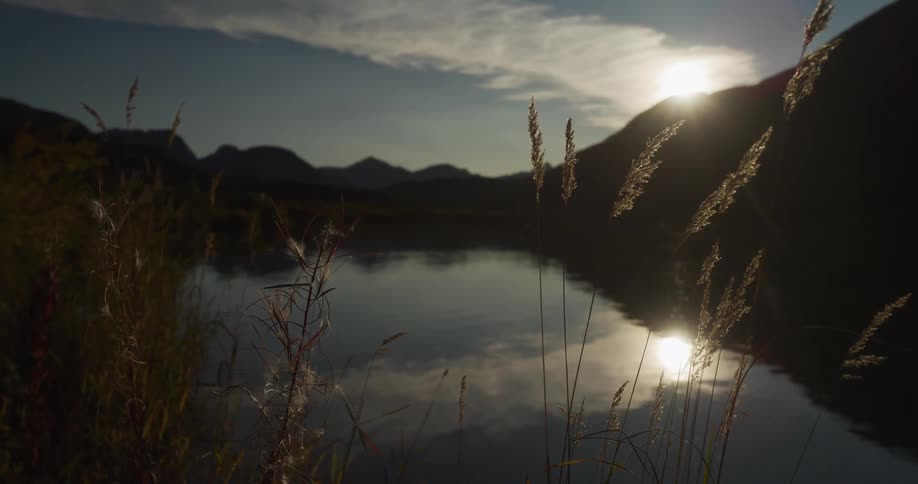 Peaceful mountain lake at sunset with silhouetted grasses in the foreground