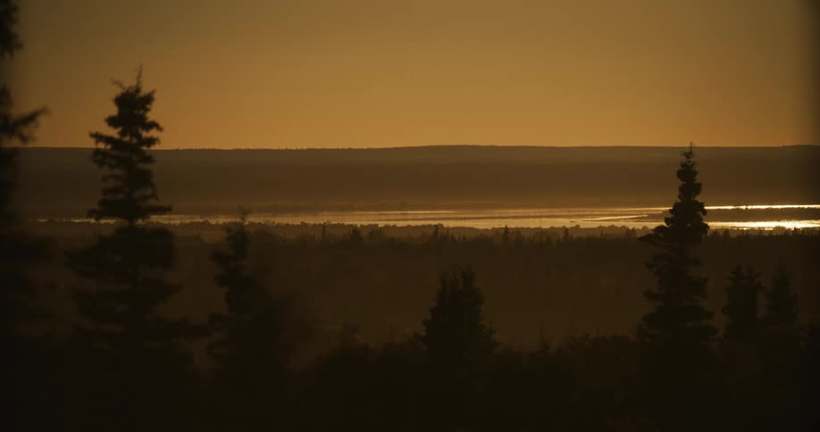 A tranquil, golden-hued sunset over a vast forest landscape with a shimmering river in the distance