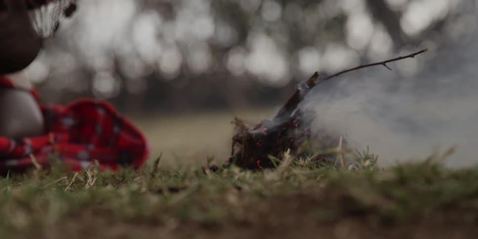 Burning brush in a yard