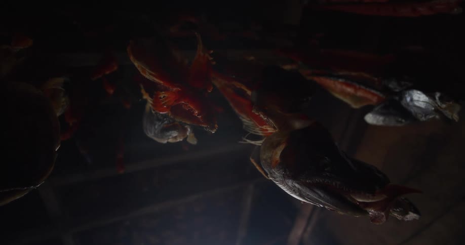 Smoked salmon heads and fillets hang from the rafters of a traditional, dark smokehouse