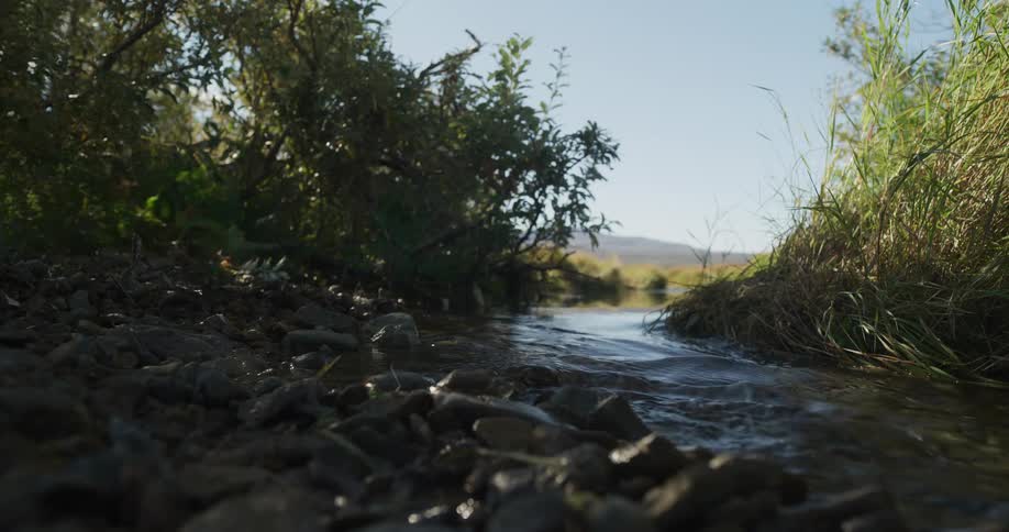 A low-angle close-up of a gentle stream flowing over rocks through a grassy field on a bright sunny day