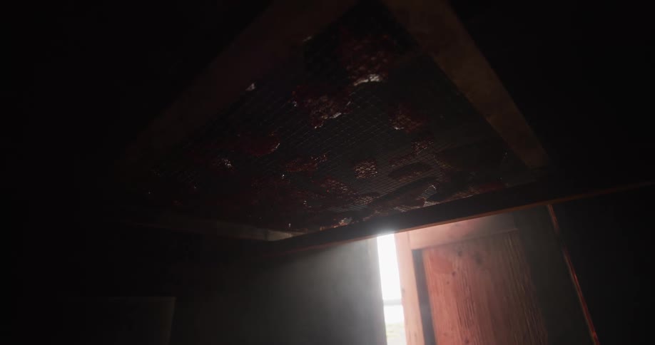 Slices of meat are slowly smoked on a wire rack inside a dark, rustic smokehouse as light beams shine through the haze