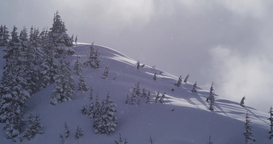 Snow gently falls on a sunlit, tree-covered mountain slope during a calm winter day