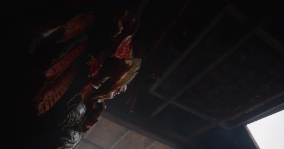 A low angle shot of fish hanging from the rafters and smoking in a dark, rustic smokehouse
