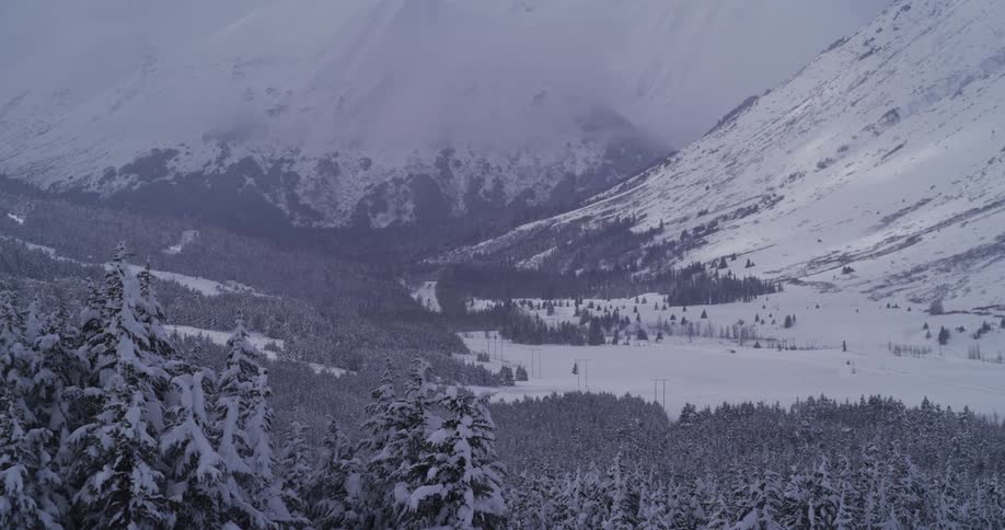 A wide, scenic pan reveals a majestic snow-covered valley surrounded by mountains and a dense evergreen forest