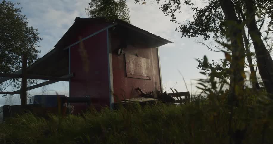 A forgotten red shed with a boarded-up window is seen from a low angle in a grassy, windswept field