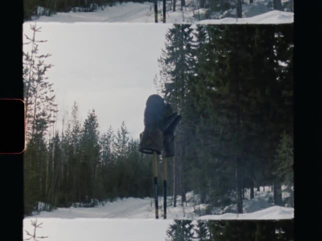 Vintage 8mm film captures a pair of ski poles and mittens left standing in the snow within a tranquil winter forest