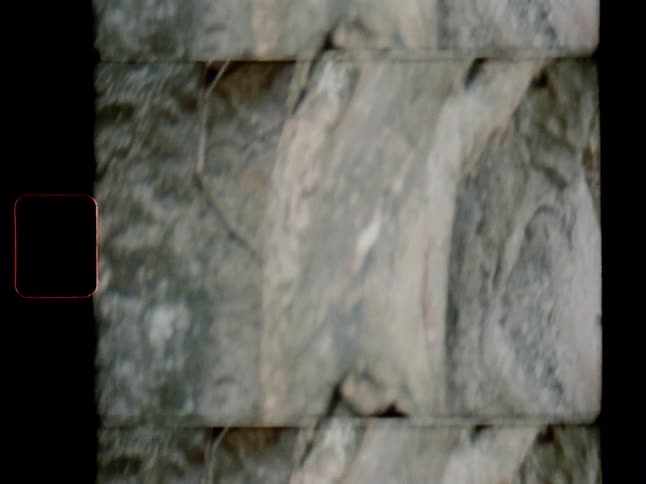 Vintage 8mm film captures an abstract, slow-moving close-up of gnarled tree roots over rocks