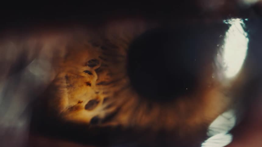 An artistic macro shot reveals the beautiful, complex patterns of a brown human iris