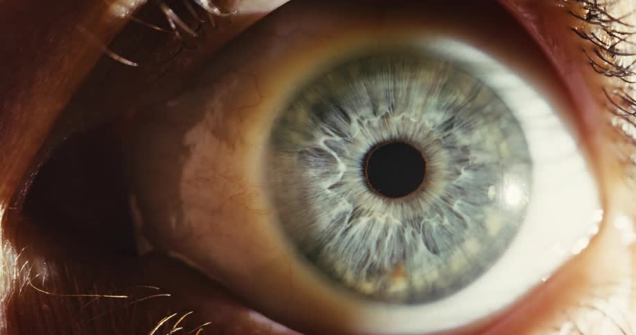 An extreme close-up macro shot of a detailed human eye with a blue and green iris as the pupil dilates