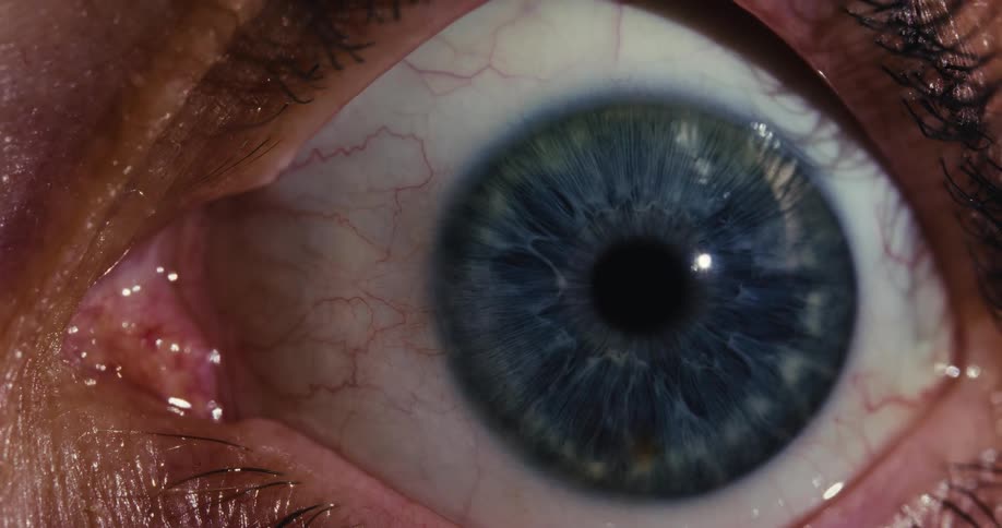An extreme macro shot of a human blue eye, with the pupil dilating and constricting in response to light