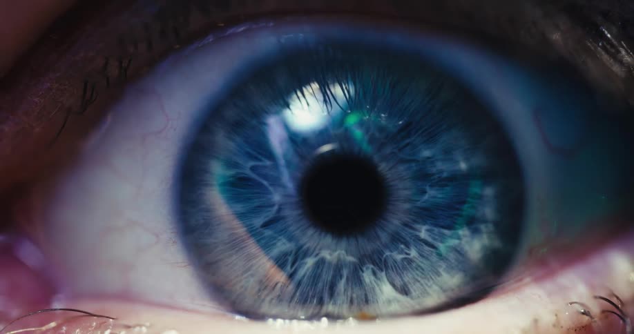 An extreme close-up of a blue human eye being scanned with a futuristic green digital overlay, causing the iris to turn white