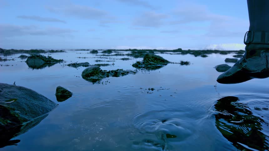 Slow motion close-up of a surfer's foot in a wetsuit bootie testing the cold water of a rocky tidal pool