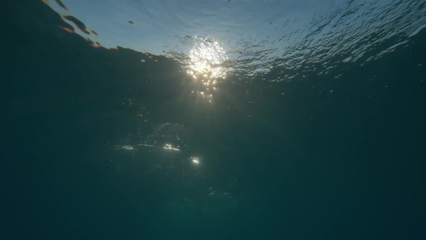 A serene underwater view looking up at the sun shining and reflecting on the rippling ocean surface creating beautiful god rays