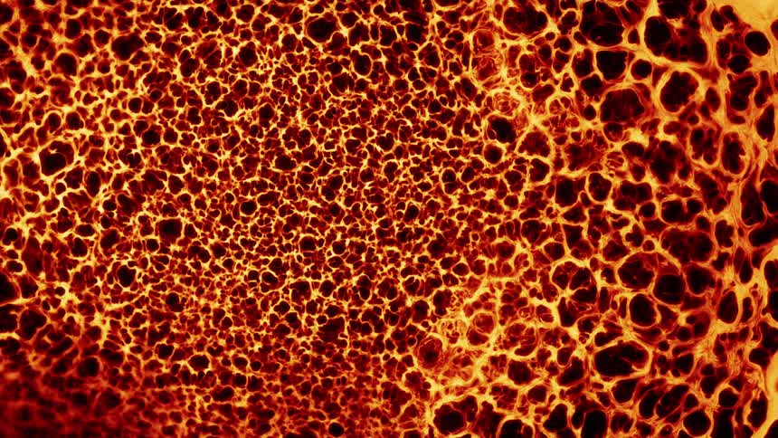 An abstract, fiery orange surface with a pulsing, cellular web-like pattern glows intensely