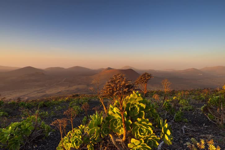 A time-lapse captures the golden sunset light sweeping across succulent plants in a vast volcanic landscape