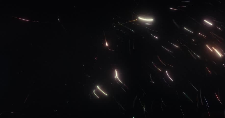 Colorful, glowing, and energetic light streaks dance dynamically against a black background in an abstract display