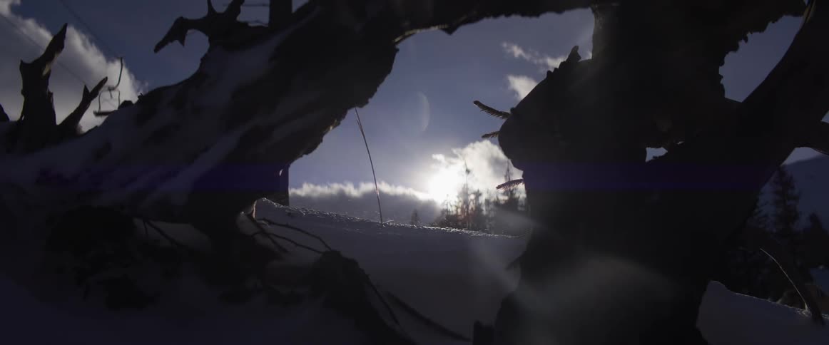 A crescent moon and the sun shine in a partly cloudy sky as wind blows glittering snow across a wintry landscape