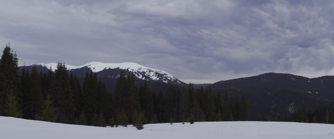 A serene winter landscape featuring a snow-covered field, a dark pine forest, and distant snow-capped mountains under a dramatic, cloudy sky