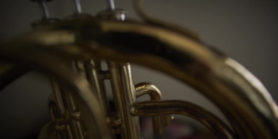 An artistic close-up reveals the gleaming brass valves and tubing of a French horn