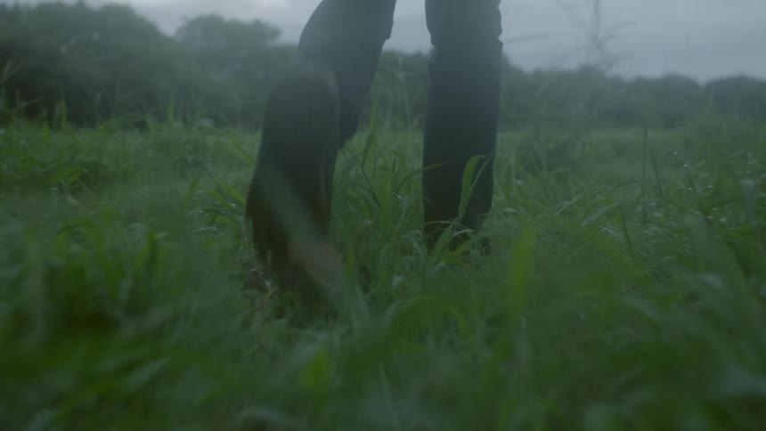 Person walks slowly through long grass