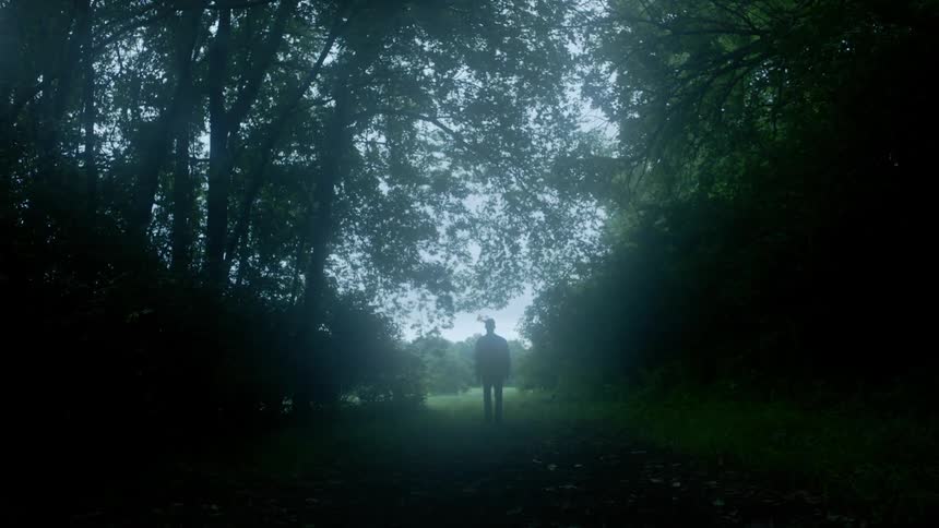 Person walks through tree covered walkway