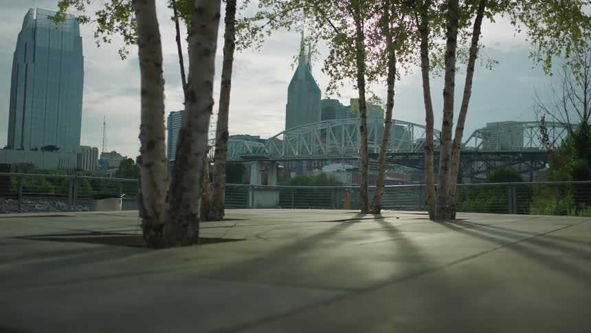 Green trees overlooking a bridge and a city skyline