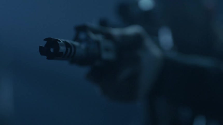 The barrel of a gun comes into focus