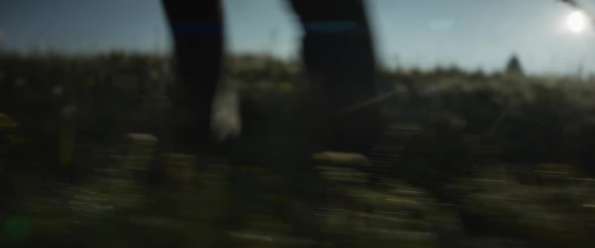 Abstract low-angle shot of a hiker's legs and trekking pole moving quickly through a sunny, grassy field