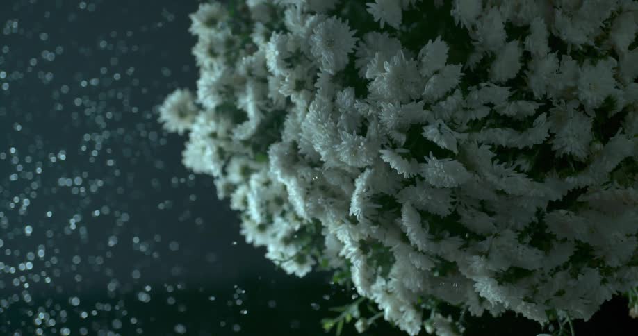 A bouquet of flowers flies in the air giving off water