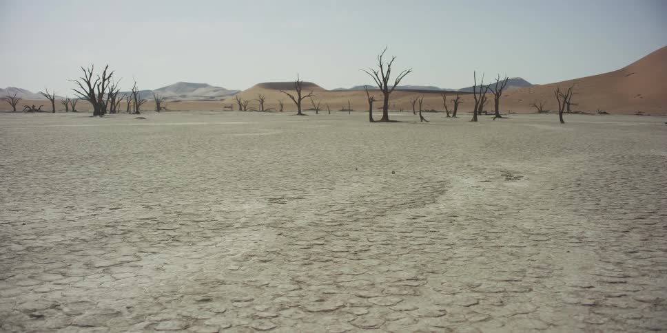 A slow tilt up reveals the surreal, desolate landscape of Deadvlei in Namibia, with its iconic dead trees and cracked earth