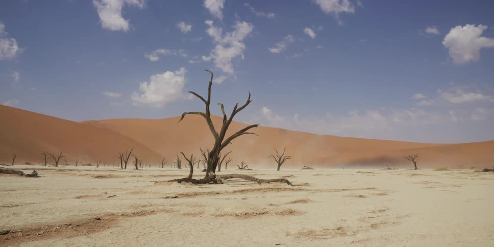 A slow zoom toward a solitary dead tree on a vast, cracked clay pan surrounded by orange sand dunes in the Namibian desert