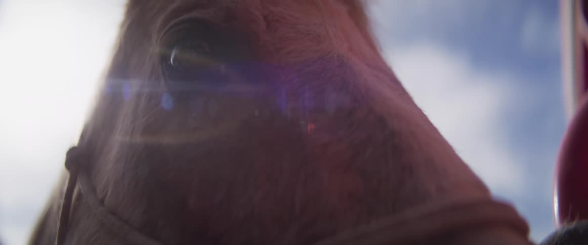 Sunlight flares across the screen in a detailed extreme close-up shot of a horse's eye