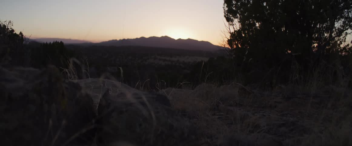 A slow dolly shot moves through silhouetted grass and rocks towards a beautiful sunrise over a vast mountain landscape