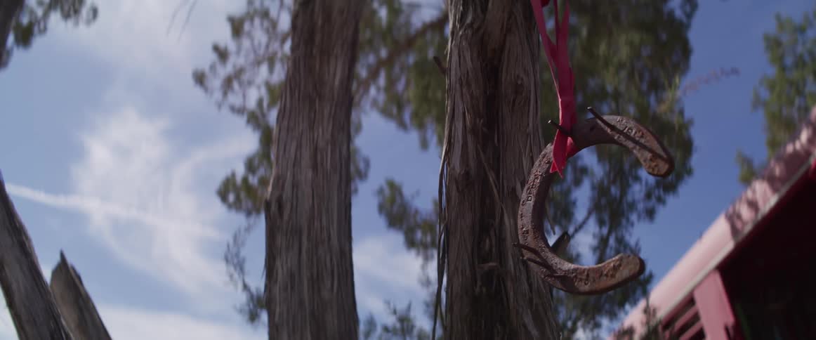 A rusty horseshoe hangs by a red ribbon on a tree trunk on a sunny day