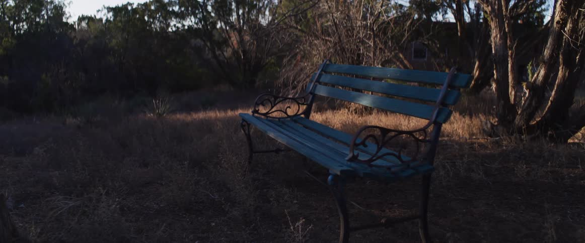 A lonely, teal-colored park bench sits empty in a dry, overgrown field at dusk