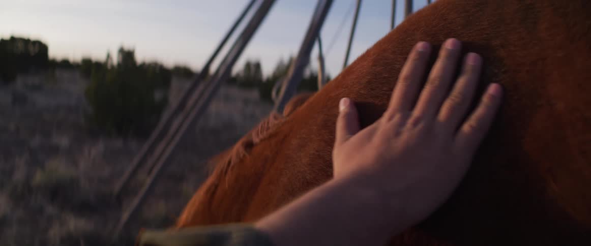 A gentle hand strokes the thick brown fur on a horse's back in slow motion during a beautiful sunset