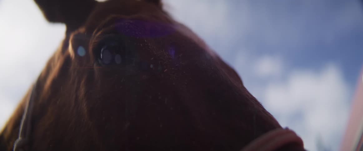 A majestic low-angle close-up of a horse's eye with a cinematic sun flare against a bright blue sky