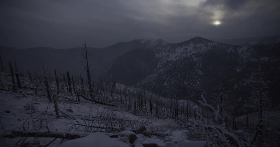 A desolate landscape of a snow-covered, burnt-out forest on a mountainside under a dark and cloudy sky