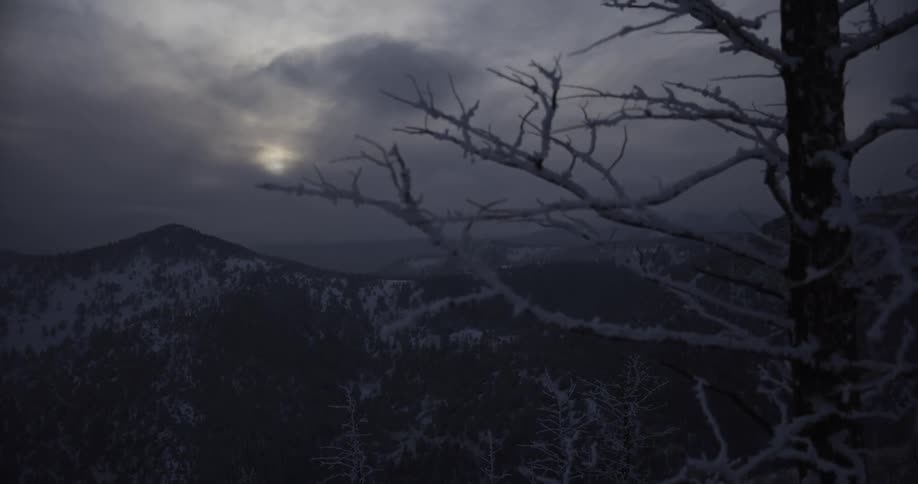 The faint sun barely breaks through dark clouds over a desolate, snow-covered mountain range, framed by a frost-covered tree