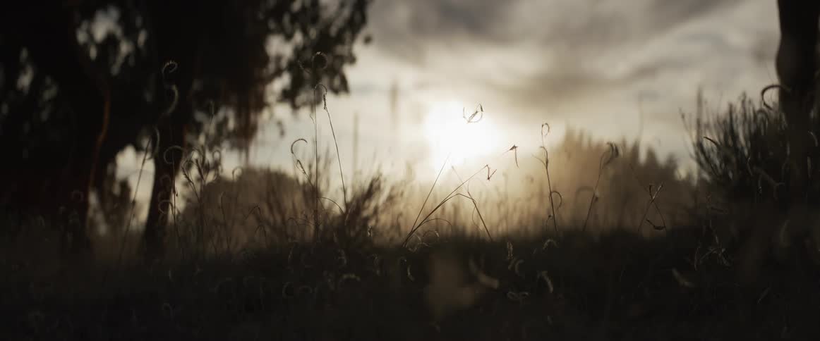 A low-angle slow-motion shot captures silhouetted horses walking through a dusty, sunlit field
