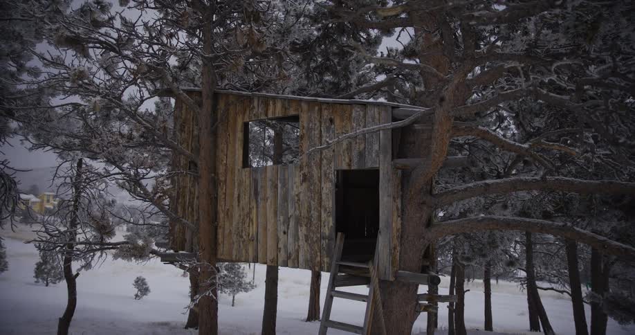 A rustic wooden treehouse sits abandoned among frosted pine trees in a snowy winter landscape as the camera slowly pulls back
