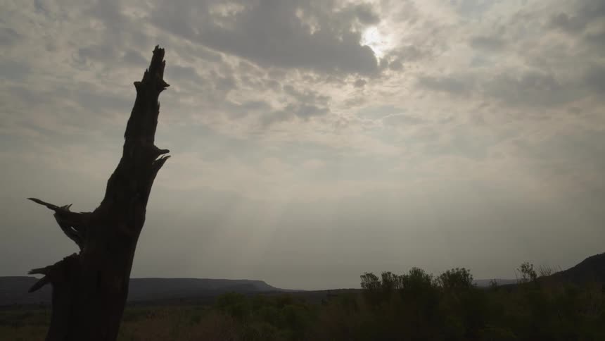 Sunbeams break through a dramatic, cloudy sky over a vast, arid landscape with a silhouetted dead tree in the foreground