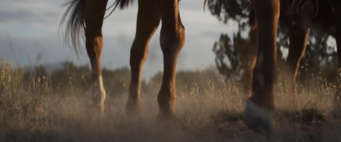A slow-motion, low-angle shot shows the powerful legs of two horses walking through a dry, dusty field during golden hour