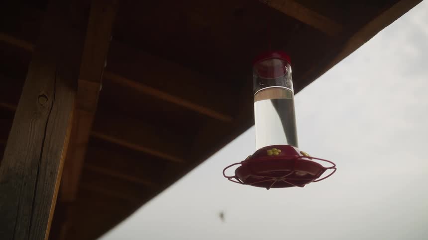 A group of hummingbirds fly gracefully in slow motion as they take turns drinking from a red bird feeder hanging from a wooden roof