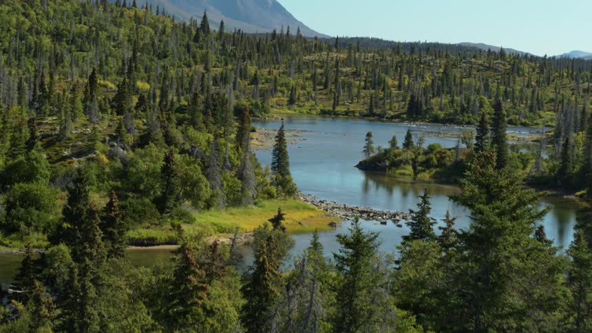 A vast and dense evergreen forest surrounds a calm river with mountains rising in the background on a sunny day