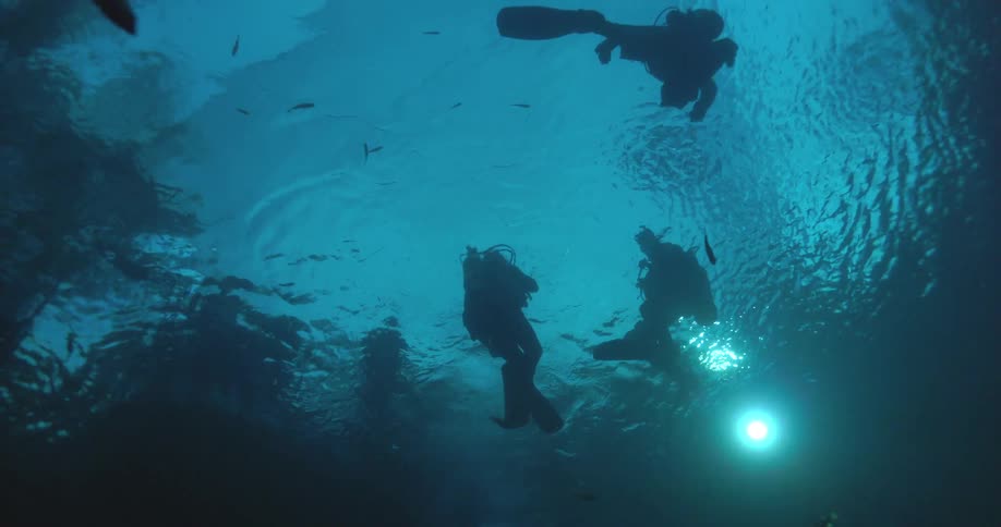 Silhouettes of scuba divers swim peacefully near the shimmering surface of the ocean, seen from a low angle
