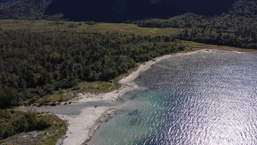 A breathtaking aerial view of a pristine alpine lake with a sandy shore, surrounded by a dense forest and majestic mountains on a sunny day