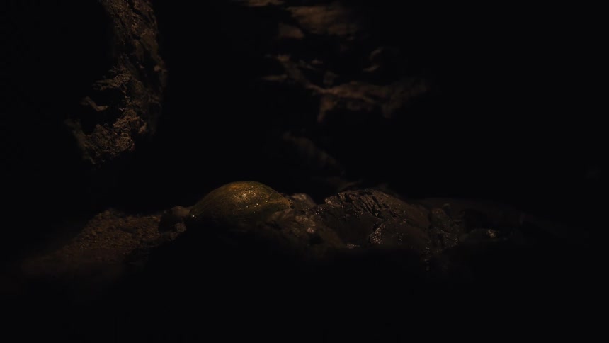 A light slowly illuminates a mysterious green, pulsating egg in a dark, wet cave