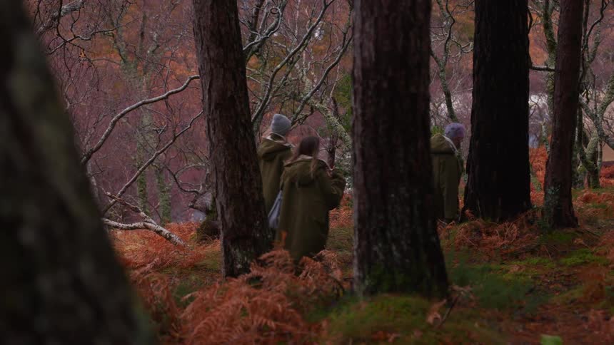 A group of people in matching green coats hike single file through a moody autumn forest toward a rushing river